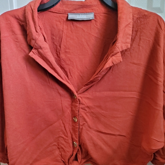 Addie - Picture 2 of 4